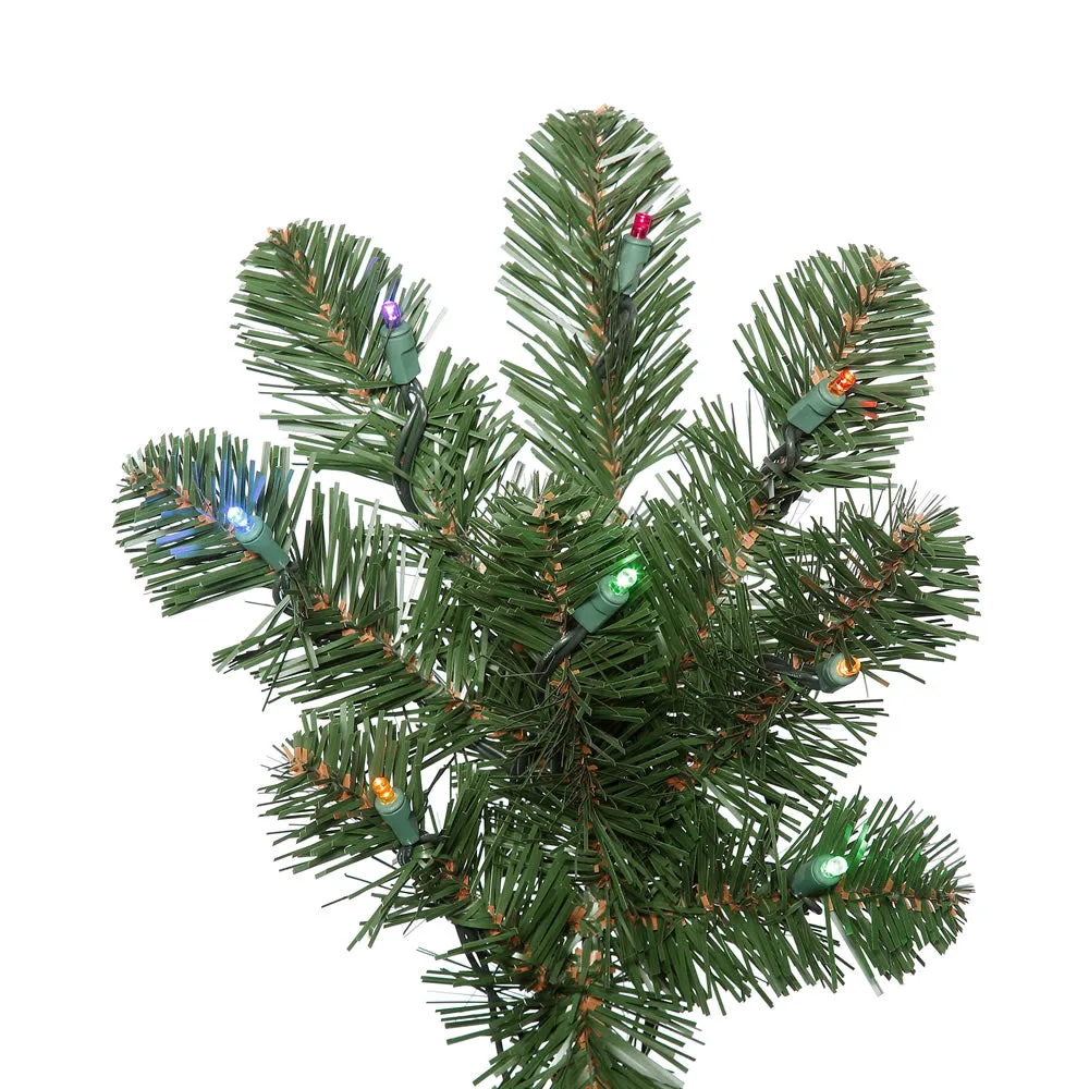 7.5' Oregon Fir Artificial Christmas Tree Wide Angle Single Mold Colored LED
