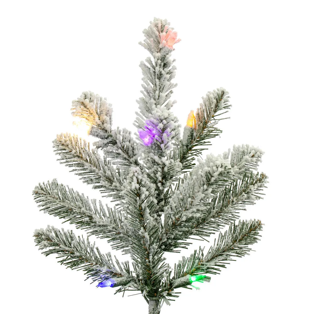 9' x 64" Flocked Bavarian Pine Artificial Pre-Lit Christmas Tree Colored Lights