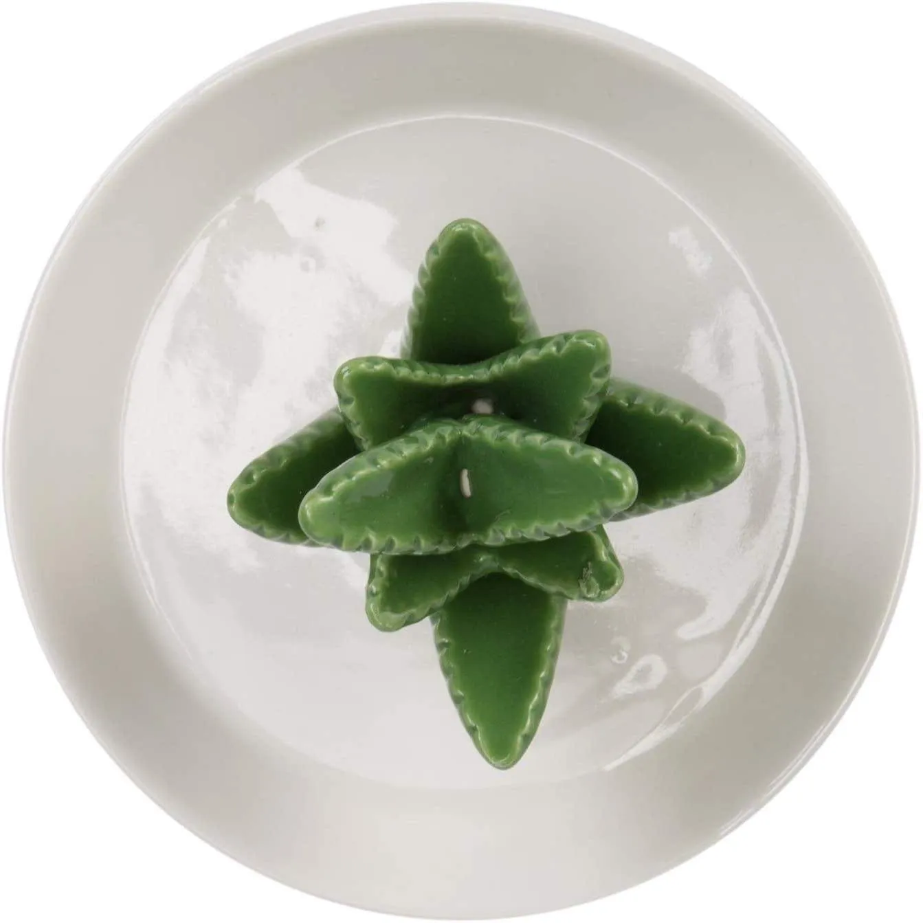 Ceramic Aloe Ring Holder with Decorative White Base