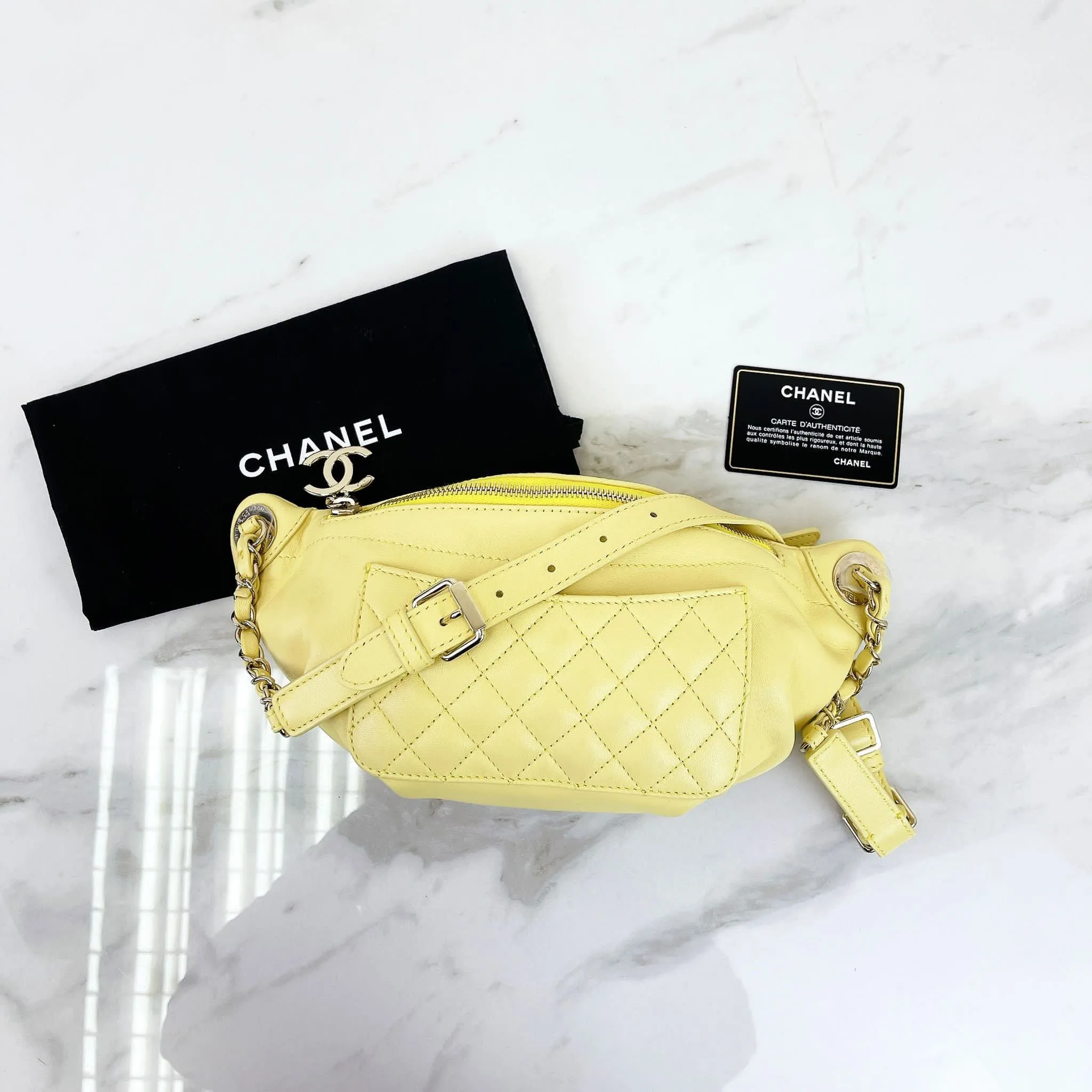 Chanel Waist/Belt Bag