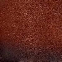 Lawnwood Backpack