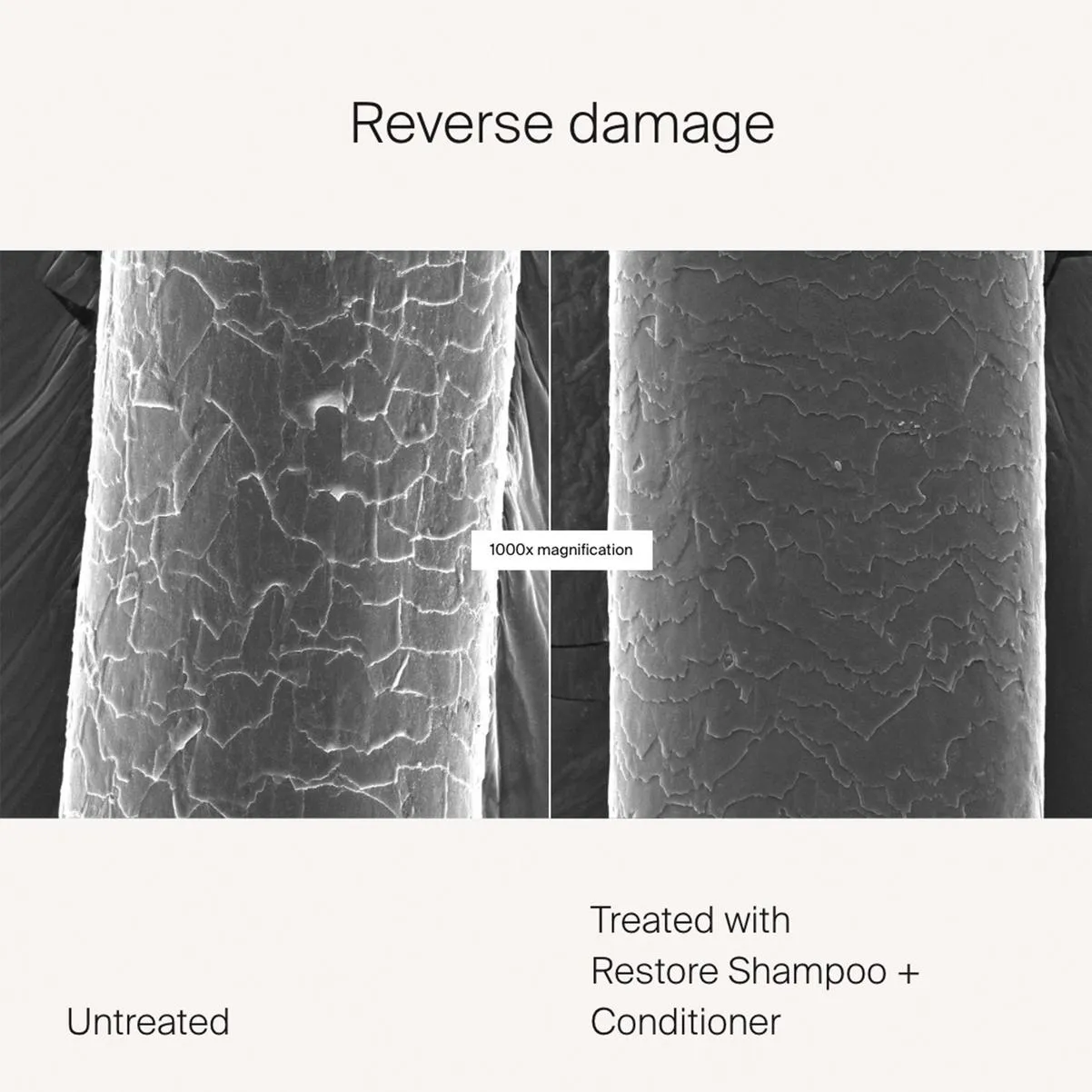 Living Proof Restore Shampoo