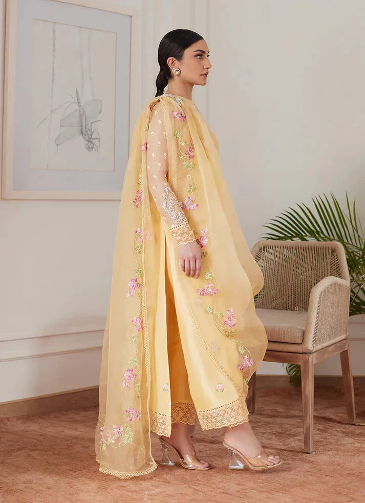 Luna Eid 24 - Cyrilla Pale Yellow Embroidered Raw Silk Shirt With Draped Dupatta