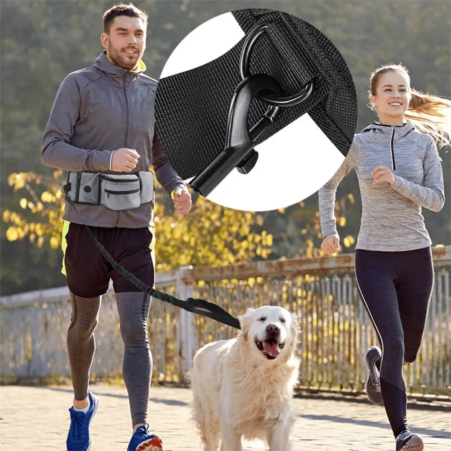 Pet Training Waist Bag, Pet Treat Bag Walking Dog Artifact, Multifunctional Running Training Walking Dog Waist Bag