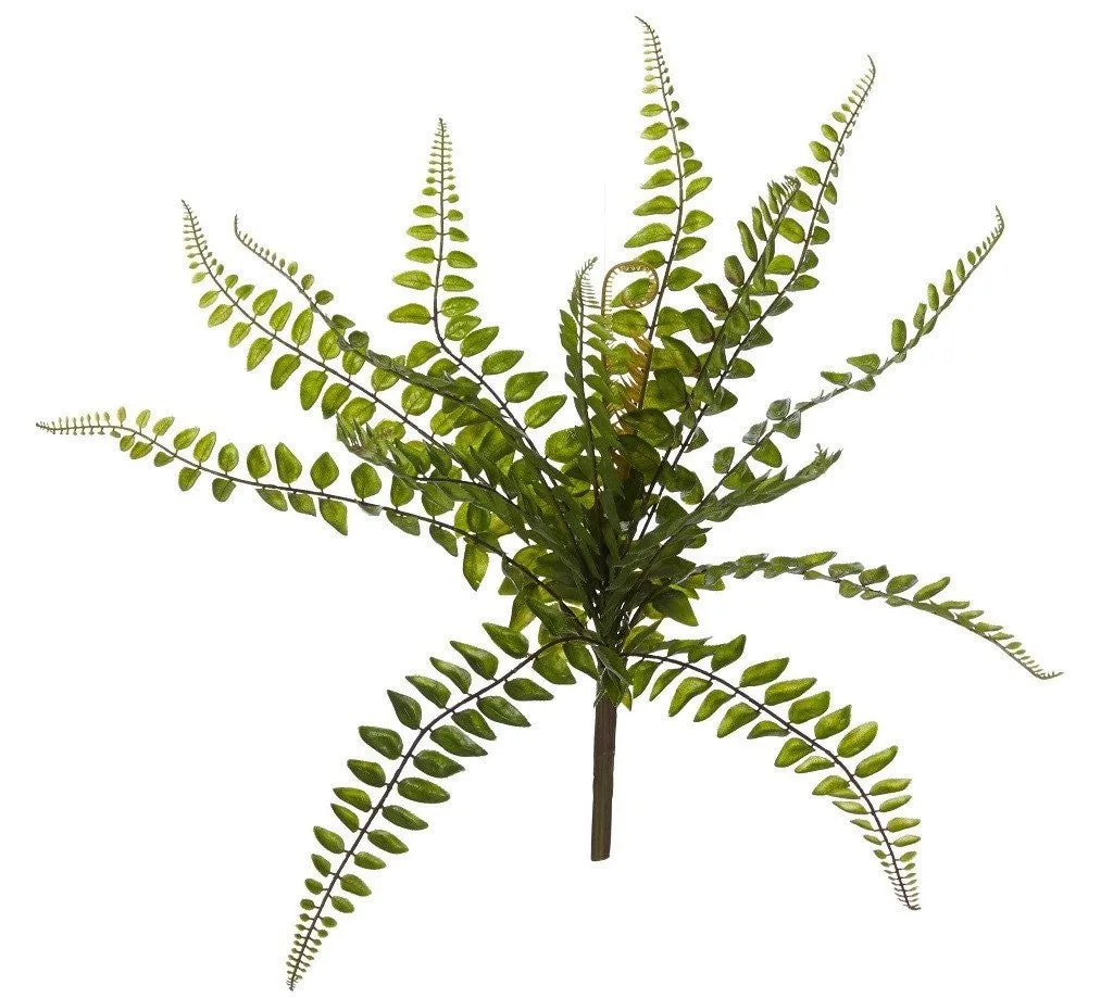 Rogue Jewel Fern Green 34x34x40cm