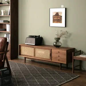 Sleek Rattan Sliding Door Tv Cabinet