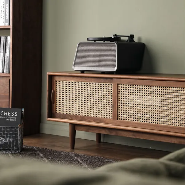 Sleek Rattan Sliding Door Tv Cabinet