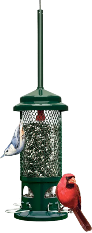 Squirrel Buster Standard