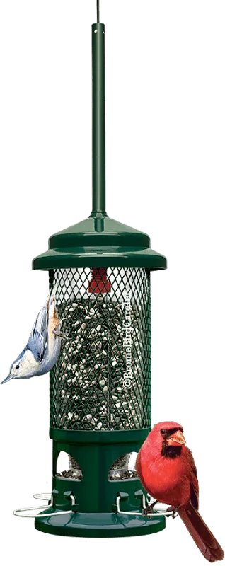 Squirrel Buster Standard