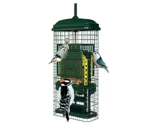 Squirrel Buster Suet Feeder
