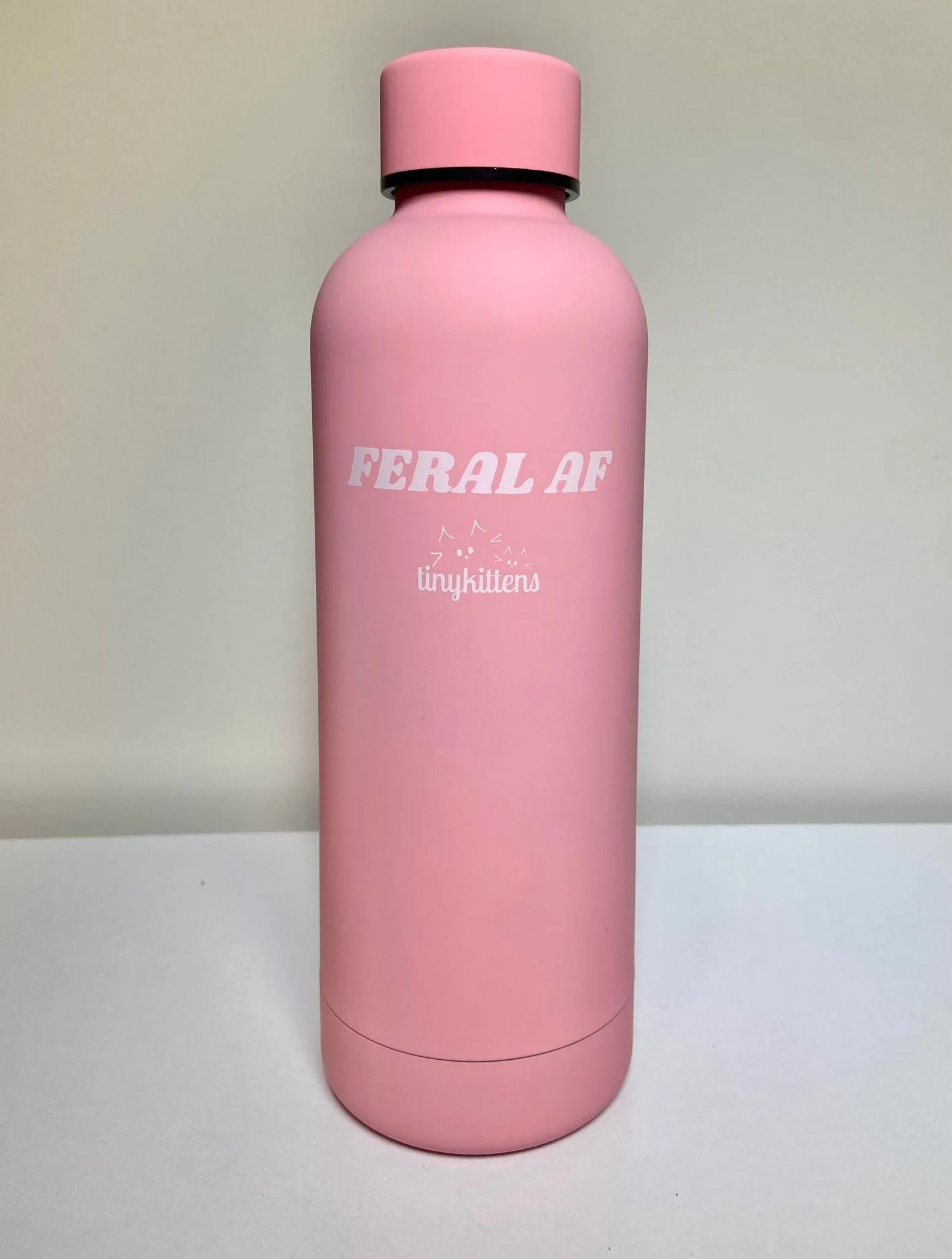 Stainless Steel Water Bottle