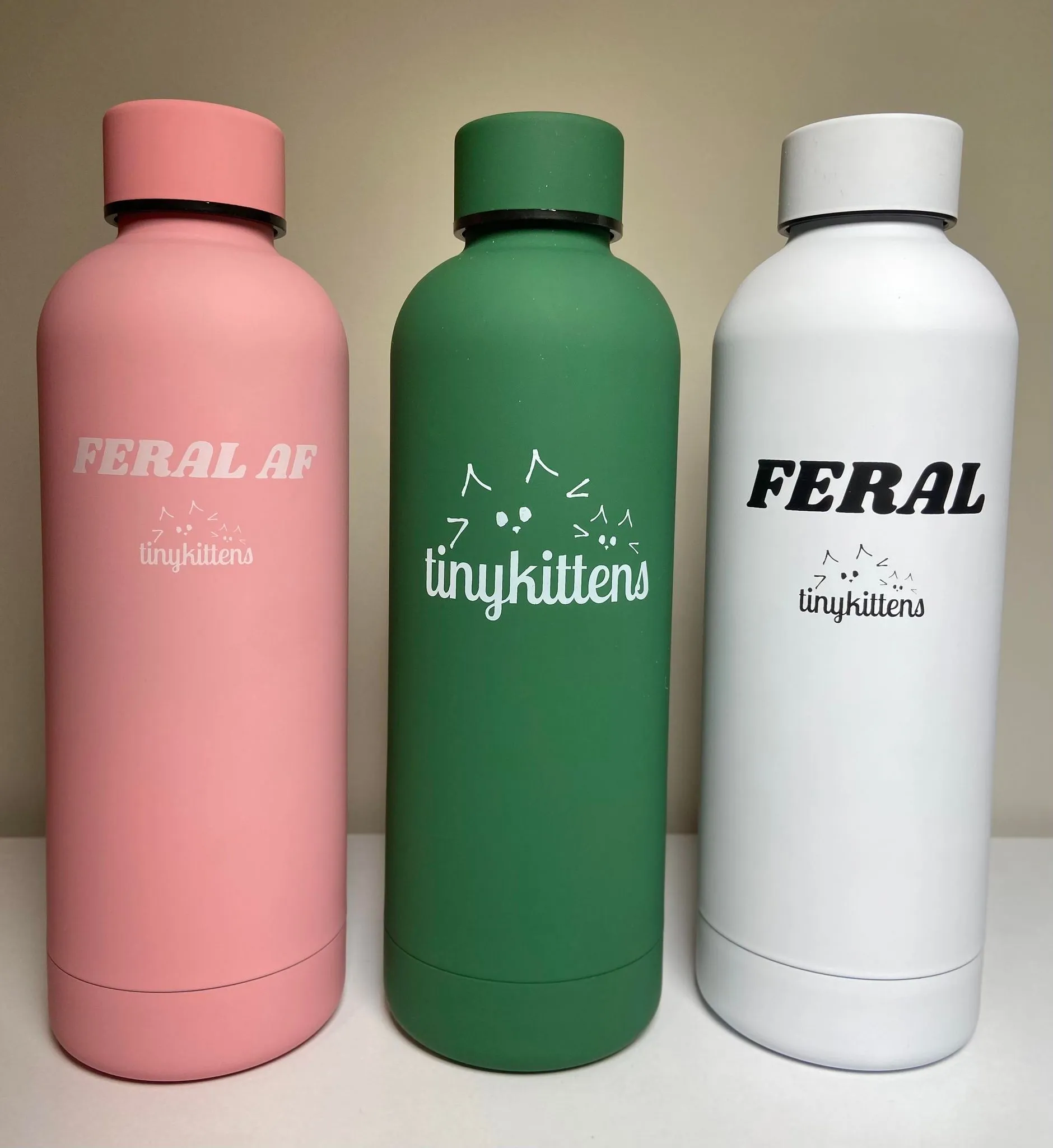 Stainless Steel Water Bottle