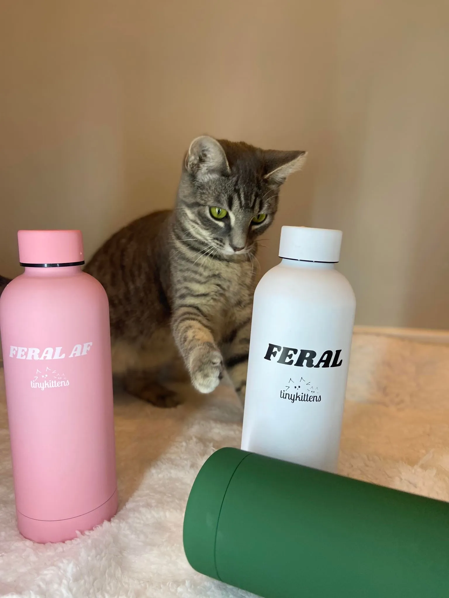 Stainless Steel Water Bottle