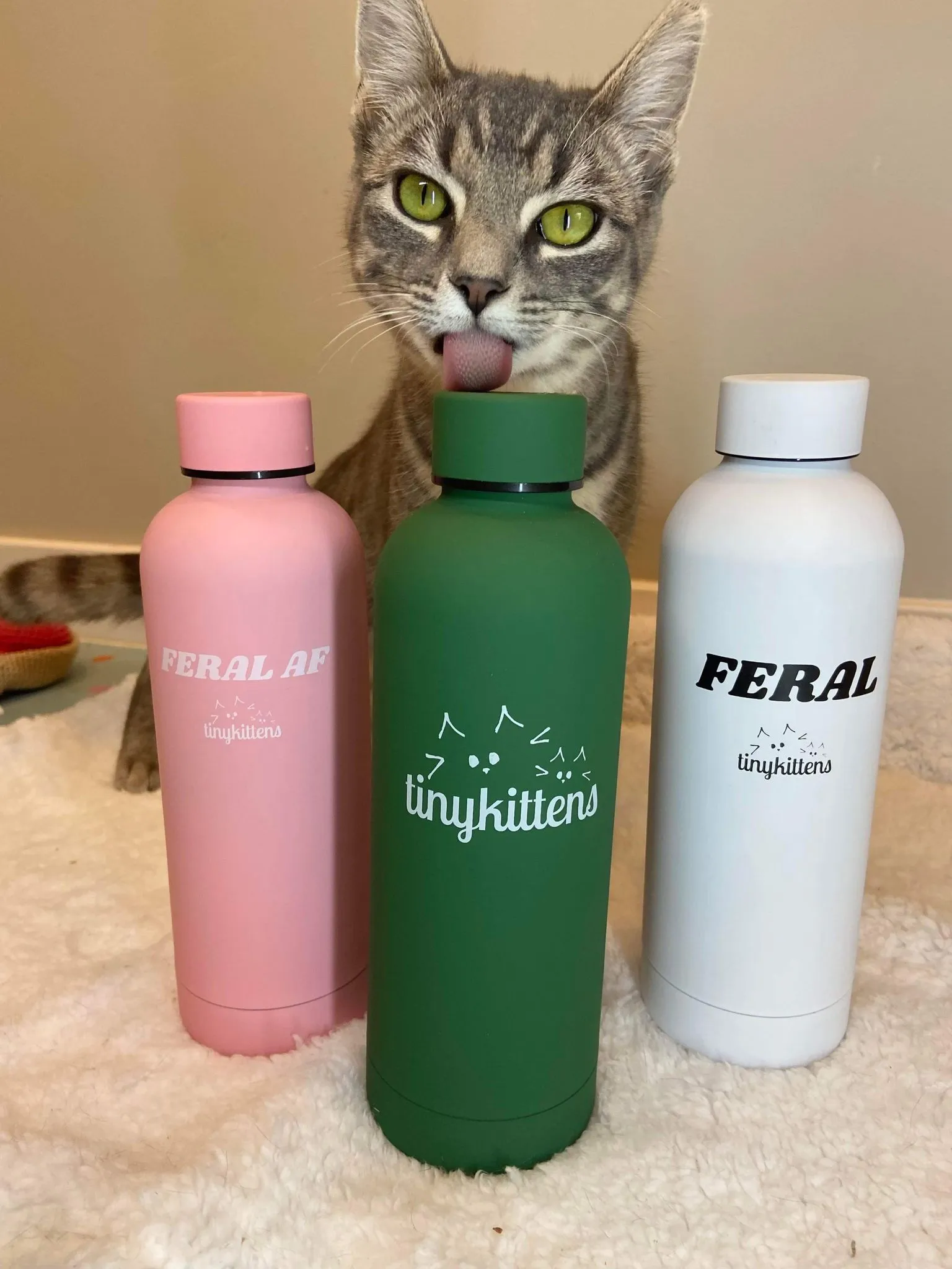 Stainless Steel Water Bottle